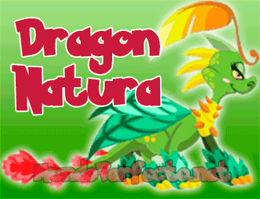 Dragon City: Dragon Natura